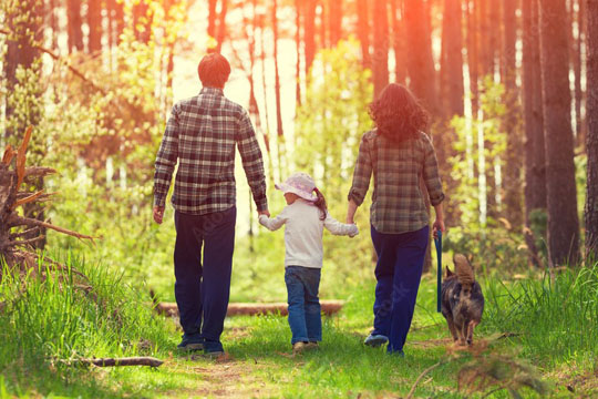 Family taking a walk in the woods with child and dog