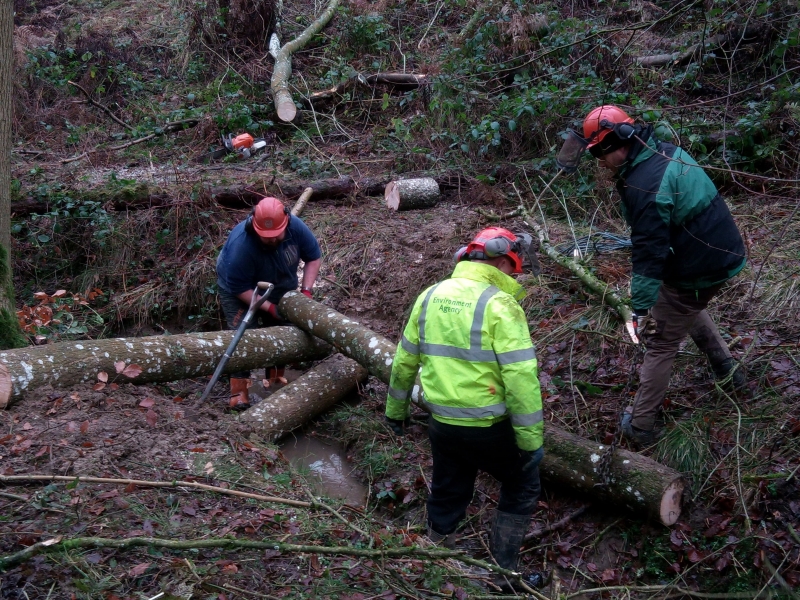 NFM project partners working together to build leaky dams at Croft Castle
