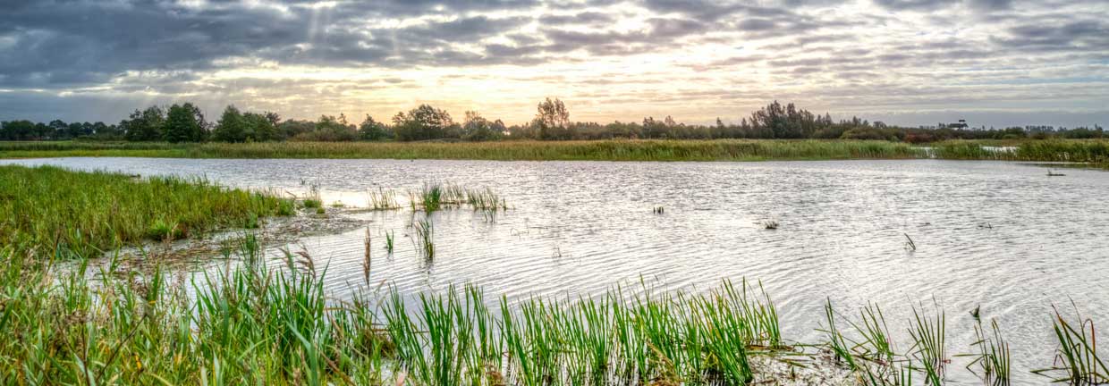 Flooded fields beneath a story sky