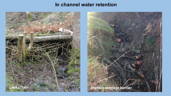 NFM In channel water retention project
