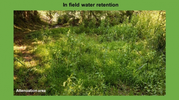 NFM In field water retention project