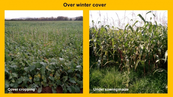NFM Over winter cover project