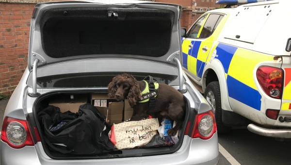 Photo of car containing seized illegal tobacco from Europe Quality Foods, Ross (c) Herefordshire Council