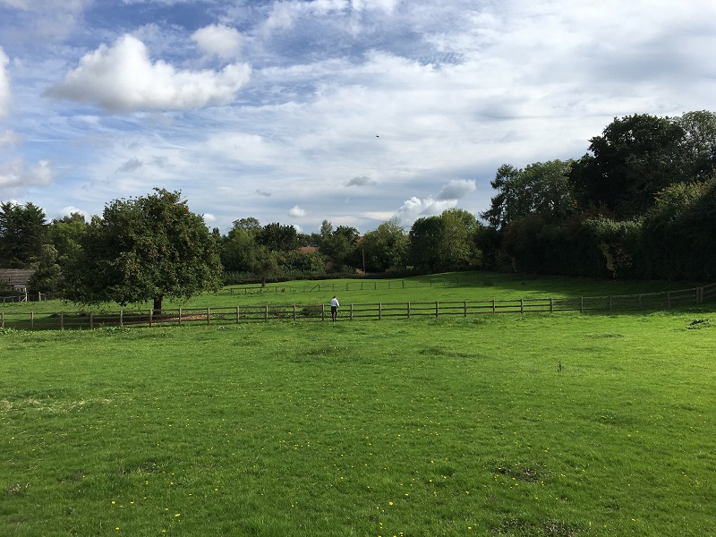 Site of the new development