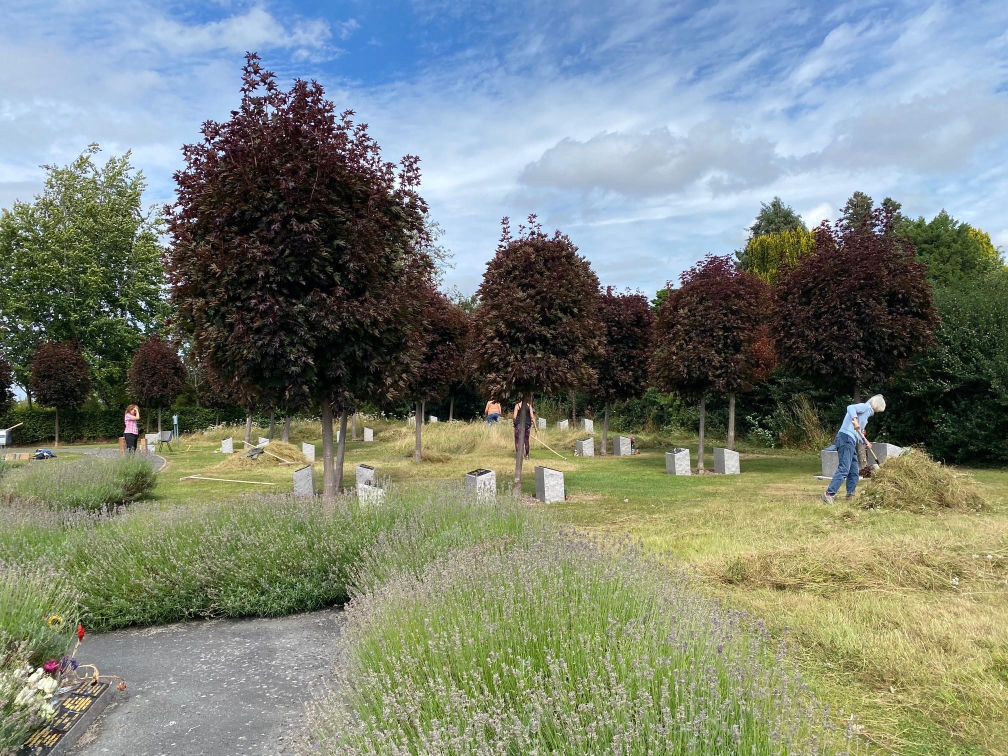 Scything course image