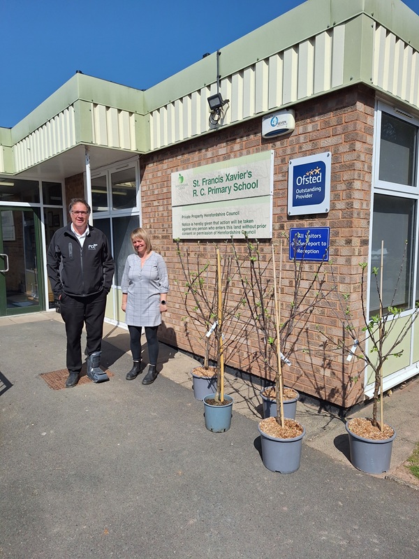 Apple tree arrival at st francis xavier school