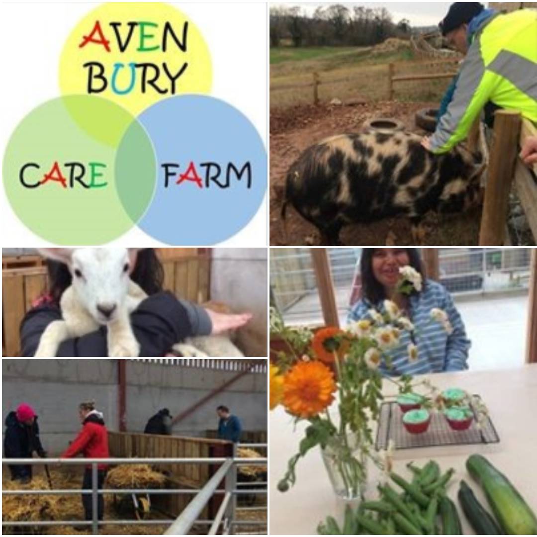 Images of animals and people at the Avenbury Care Farm