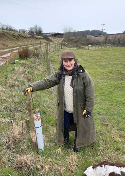 Cllr Swinglehurst with avenue of young trees planted by public footpath.
