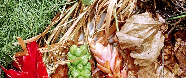 Composting close up scattered garden waste and grass clippings