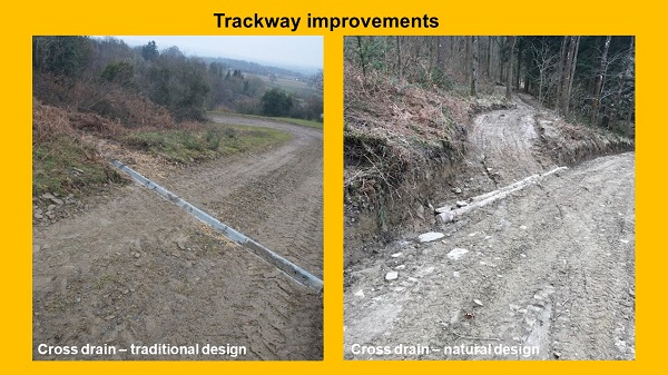 NFM Trackway improvements project image of cross drain