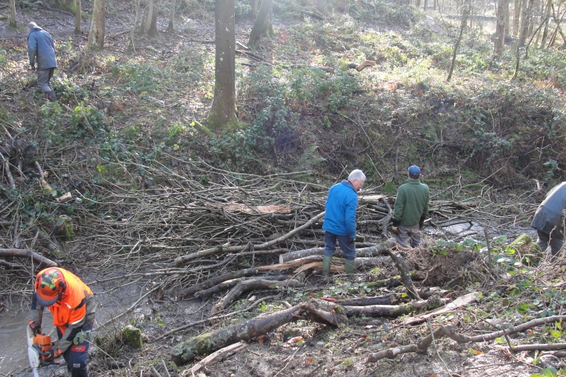 NFM National Trust volunteers building leaky dams in Fishpool Valley