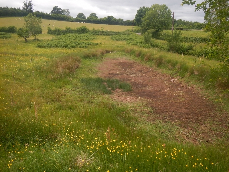 Area of rough ground before tree planting at Jamie's Farm