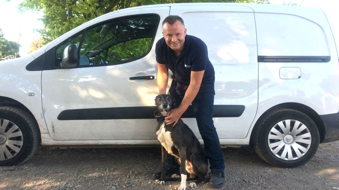 Enforcement Officer Dave Poolton and Dasha the greyhound