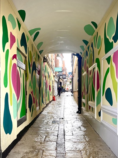 Dermot Clarke's mural 'The People's Patch' at Capuchin Lane