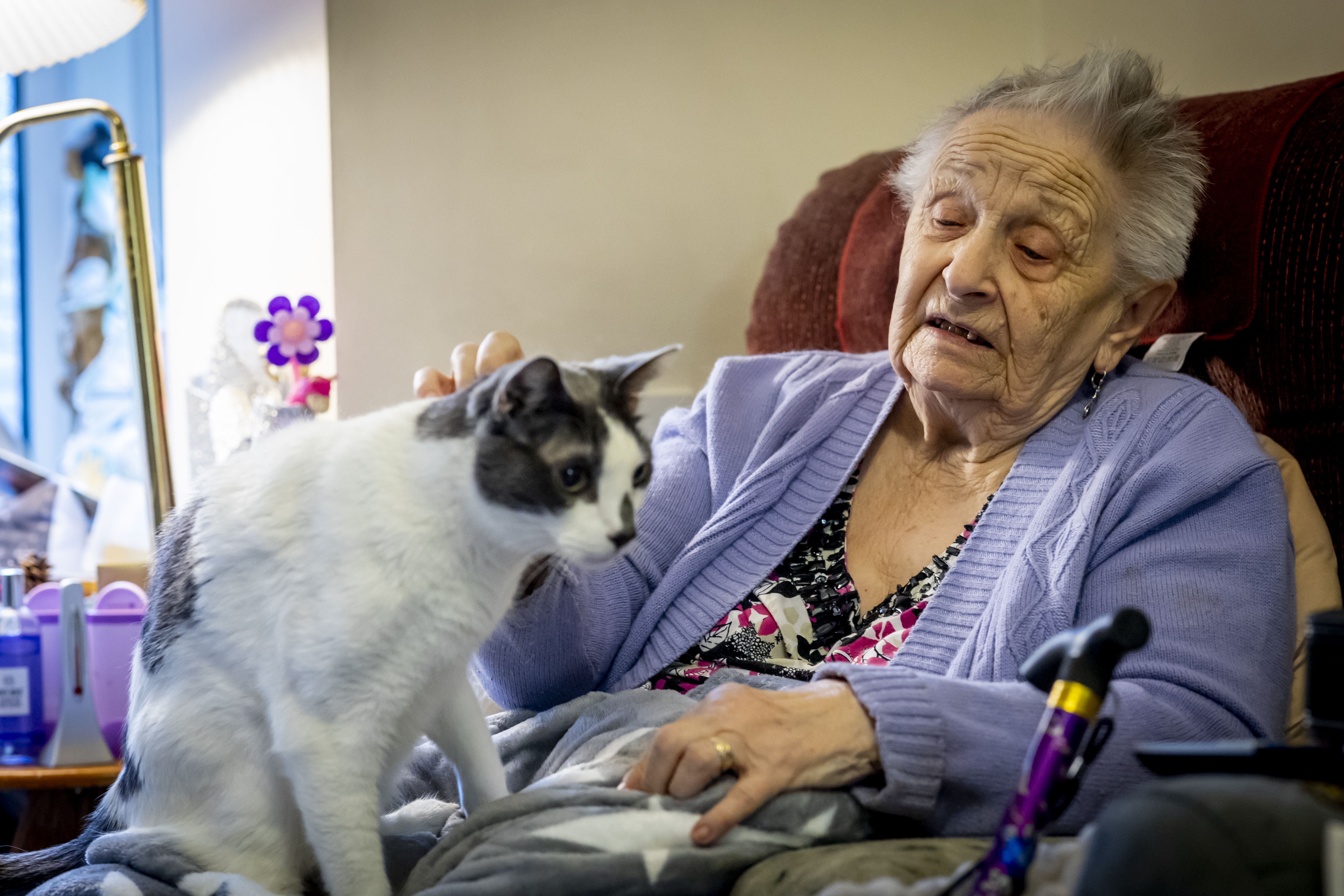 Elderly lady at home with walking support device and pet cat