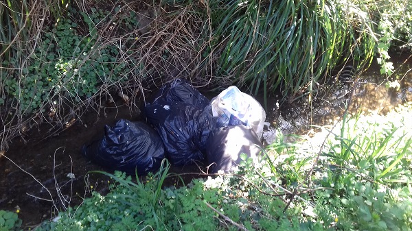 Waste dumped in stream