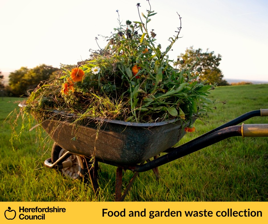 Food and garden waste collection