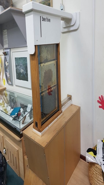 Photo of live beehive at Hereford Museum and Art Gallery