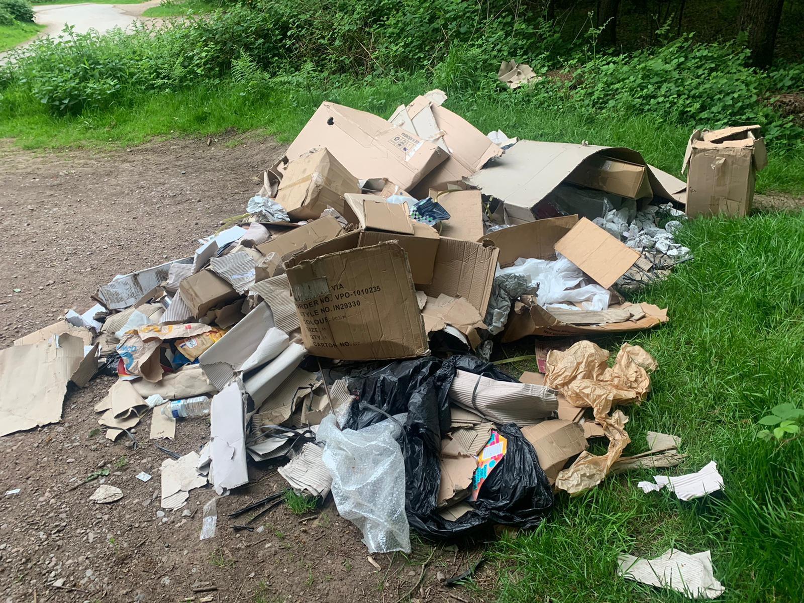 Flytip Haugh Woods