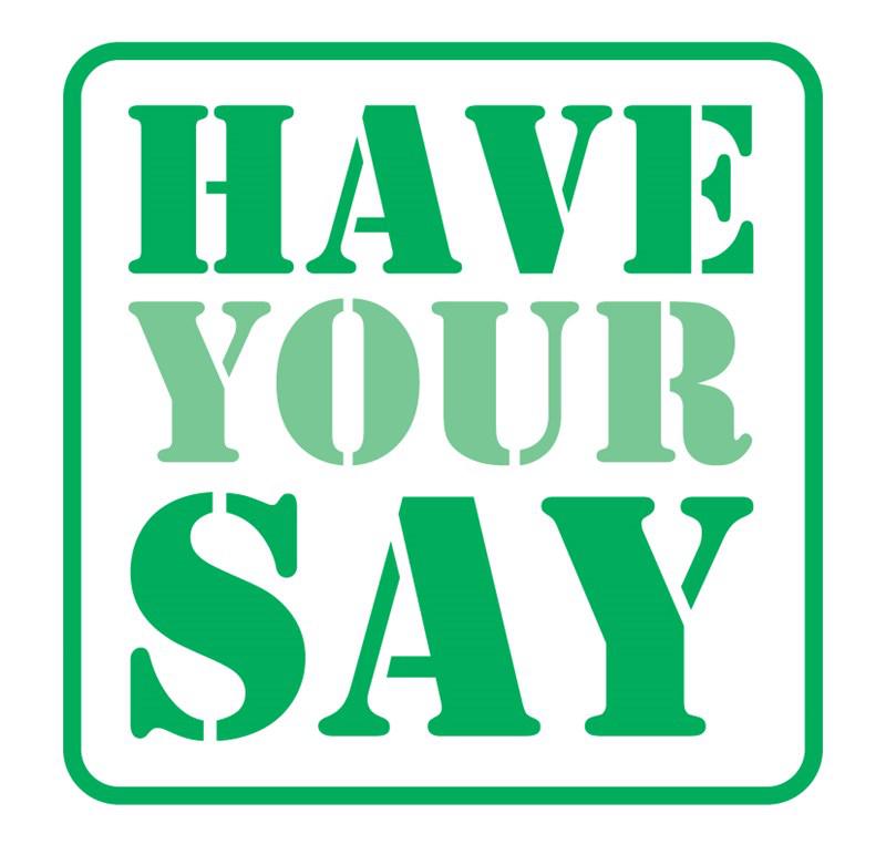 Have your say logo