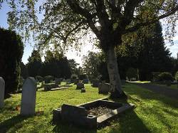 Hereford Cemetery graves