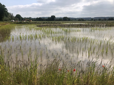 The Luston site as it first became operational and water was switched on