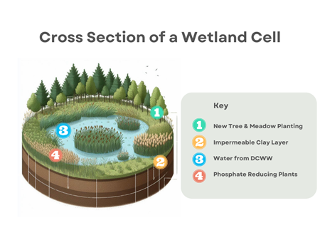 A simple diagram cross section of a horizontal flow wetland
