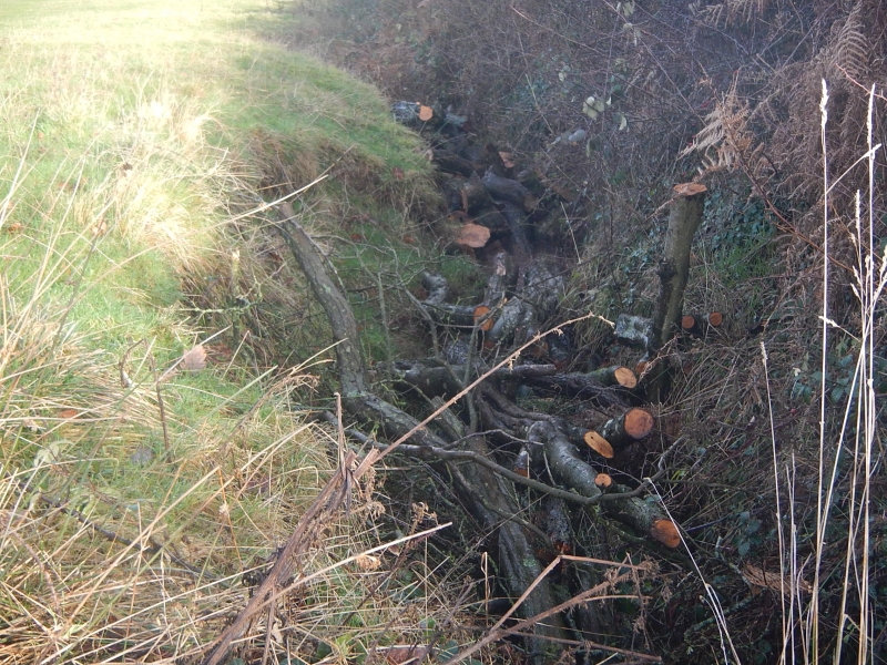 In ditch seepage barrier at Jamie's Farm