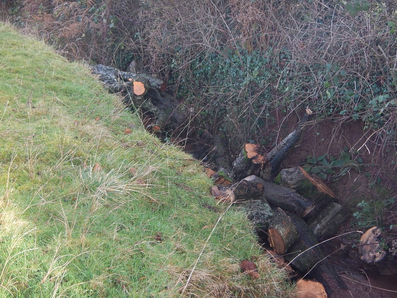 In ditch seepage barrier at Jamie's Farm