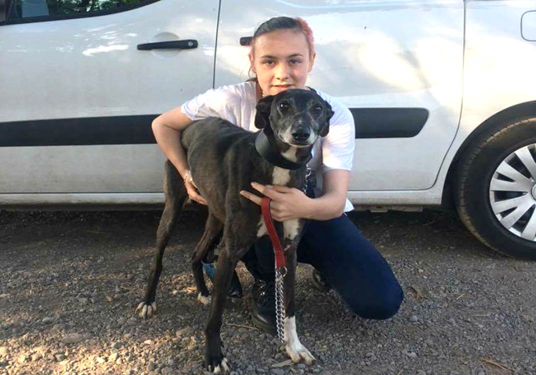 Jessica Miller and Dasha the greyhound