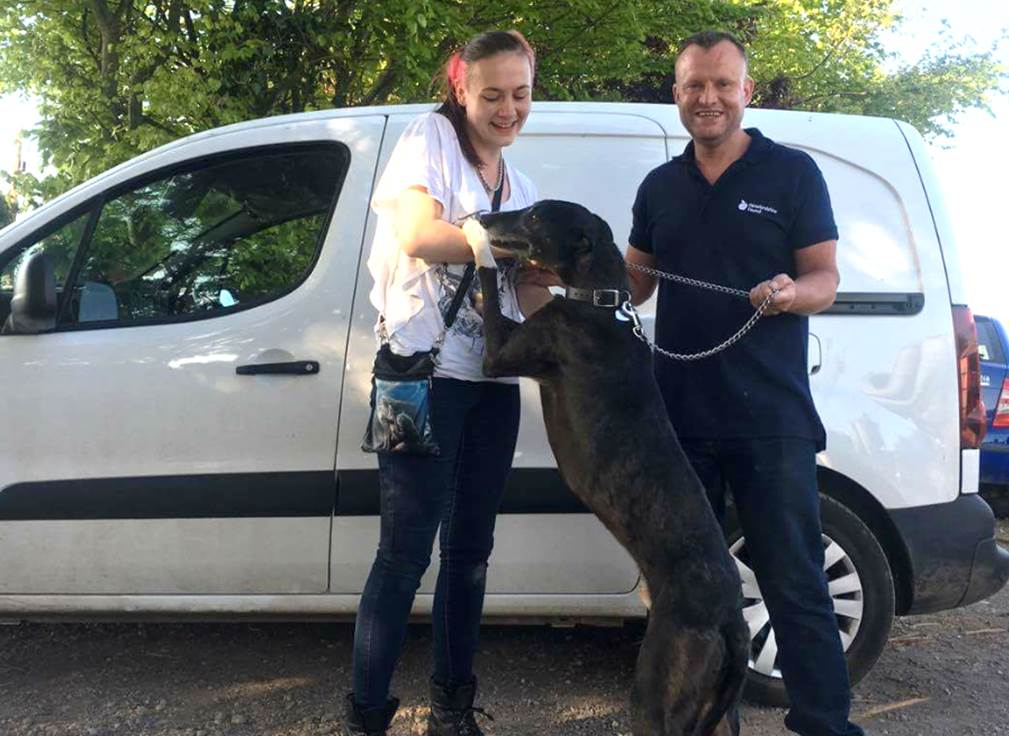 Jessica Miller, Dasha the greyhound and Enforcement Officer Dave Poolton