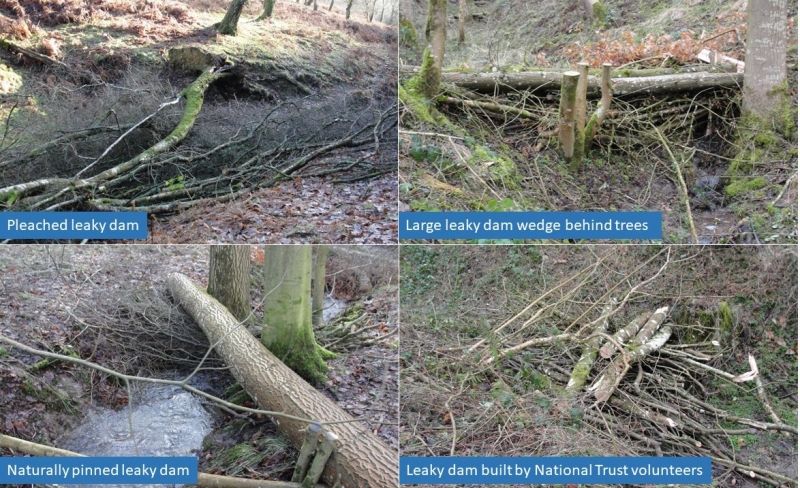 Partners working to build leaky dams at Croft Castle