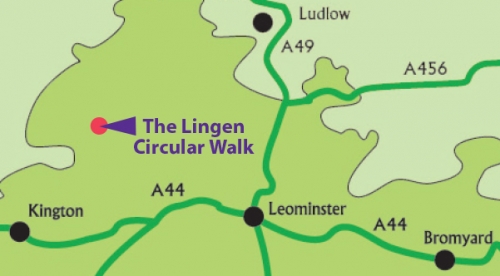 Lingen location map section