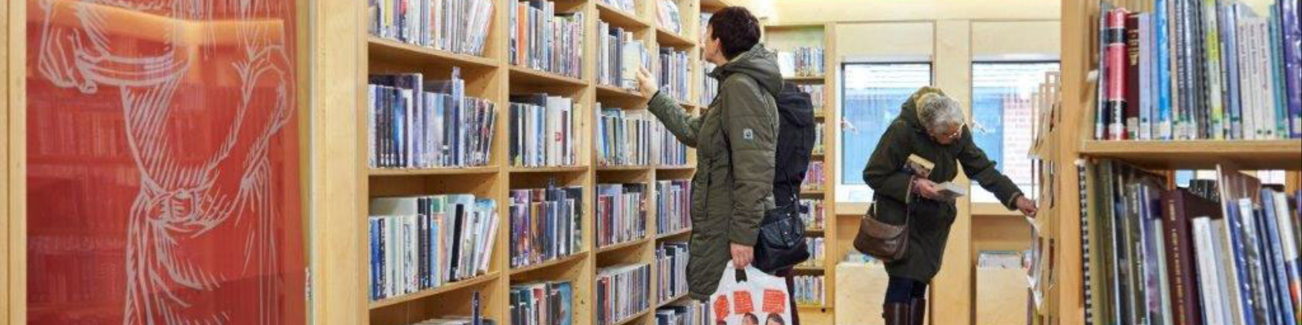 Adults browsing library bookshelves