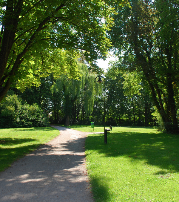 Attractive view of a public park with willow trees and bench and a streetlamp