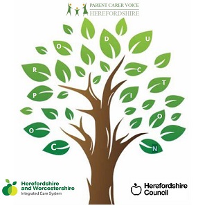 Parent Carer Voice Herefordshire, Herefordshire Council, and Herefordshire and Worcestershire Integrated Care System co-production tree