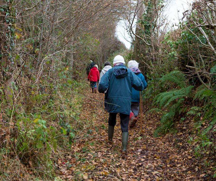 Physical activity rates have increased amongst older adults across Herefordshire.