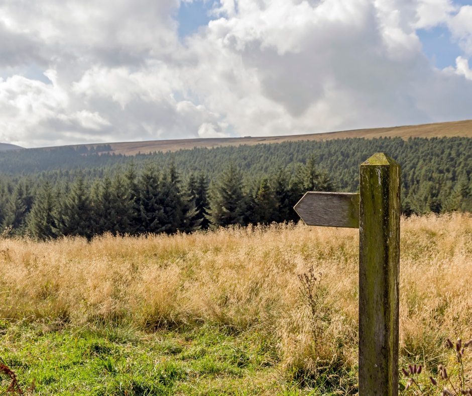 Public footpath