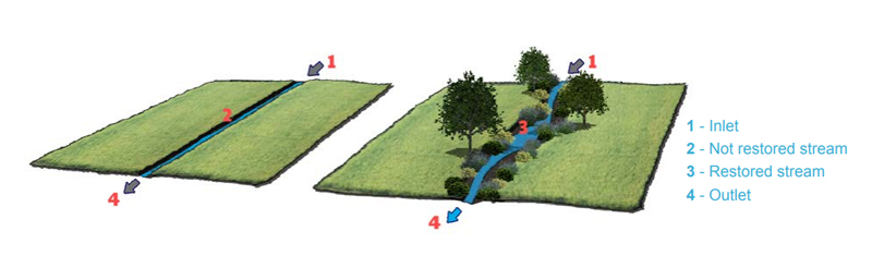 Diagram showing river restoration mitigation.