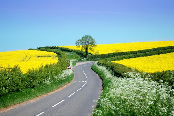 Country road