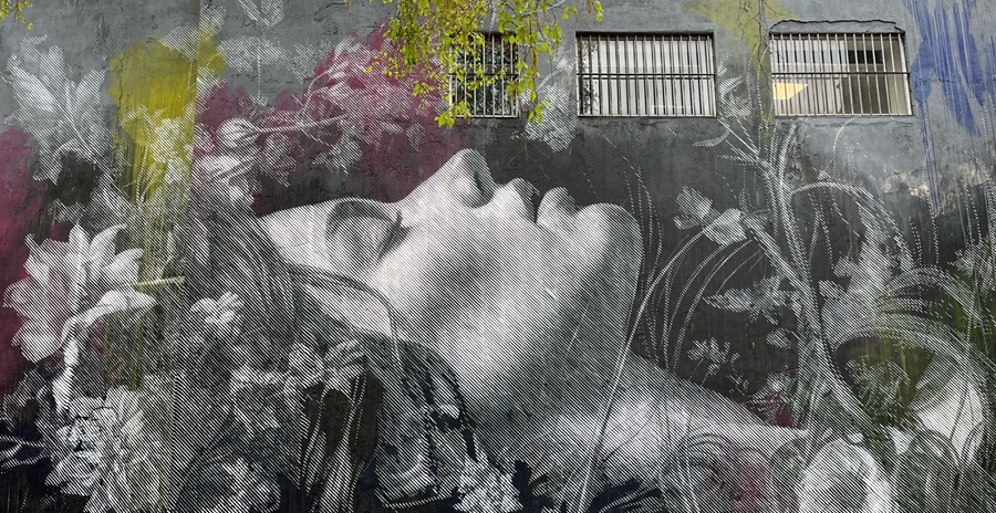 How the design by SNIK at Brewer's Passage looks, featuring a woman's face lying down surrounded by flora