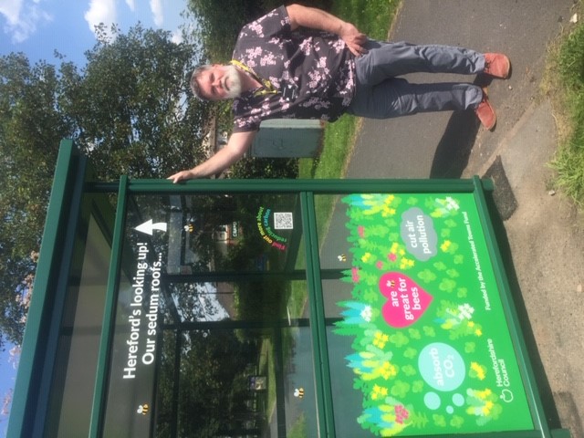 Cllr Harrington next to a new sedum bus shelter