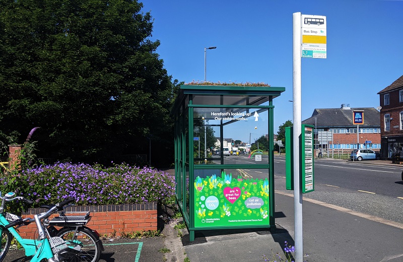 A new sedum bus shelter on Whitecross Road