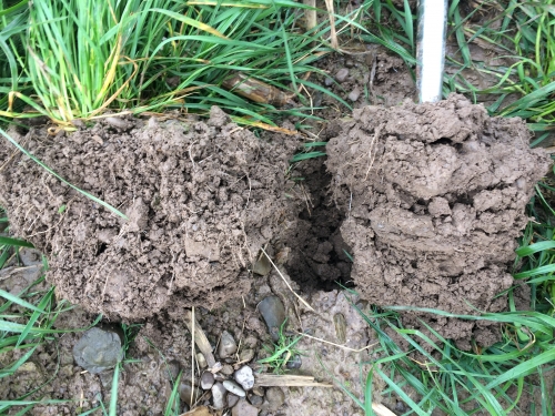 NFM Soil comparison WUF