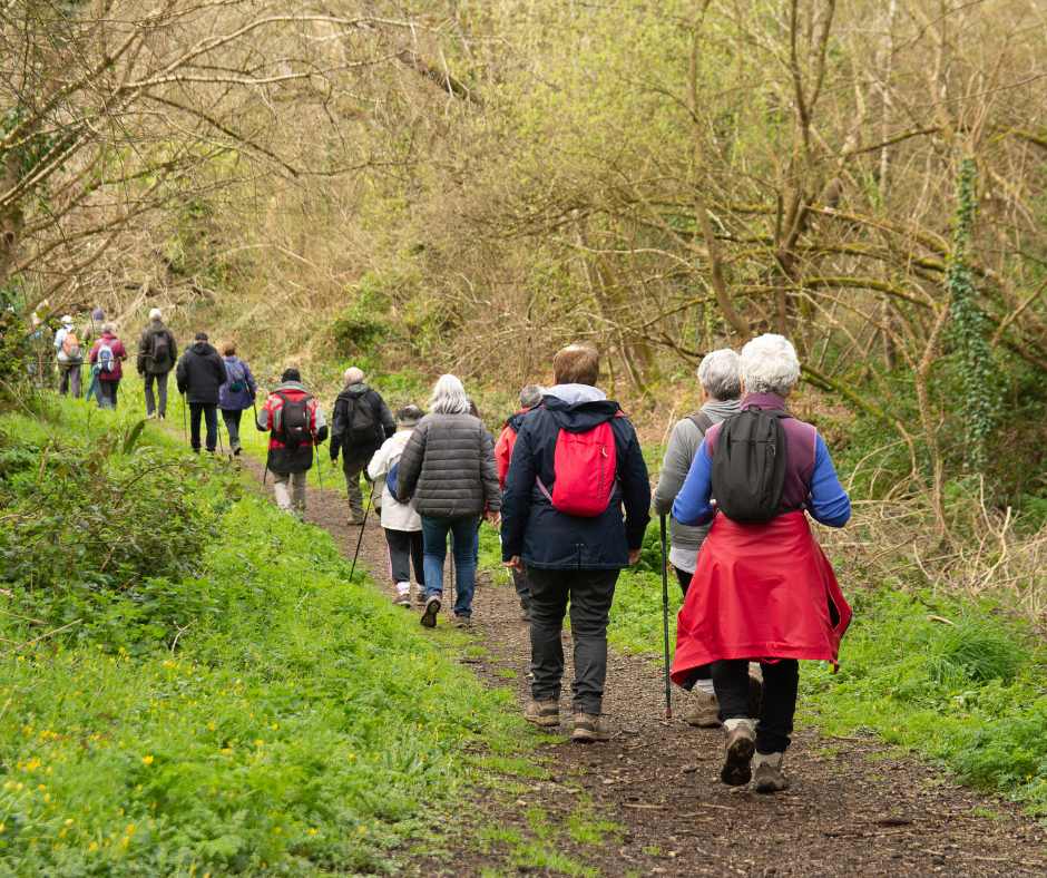 Group out walking in pleasant countryside