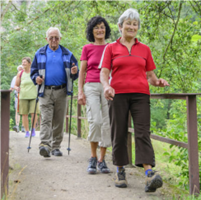 Group of walkers crossing bridge in single file, with walking poles