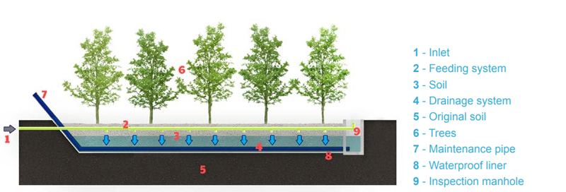 Diagram of willow systems