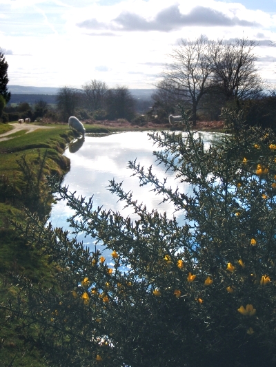 Yarpole circular walk view