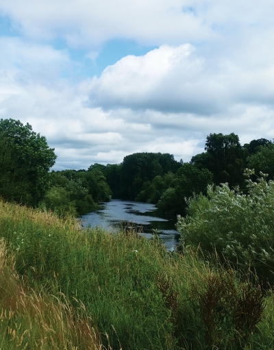Breinton river view