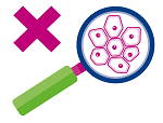 Stylised magnifying glass looking at DNA sample